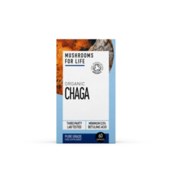 Organic Wild Chaga Mushroom