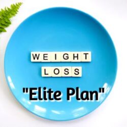 Elite weight loss plan